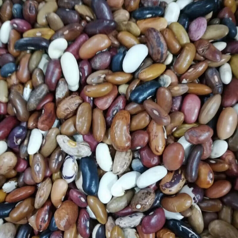 八宝豆农家自产杂芸豆豆类组合红腰豆八宝粥原料杂粮豆3斤装