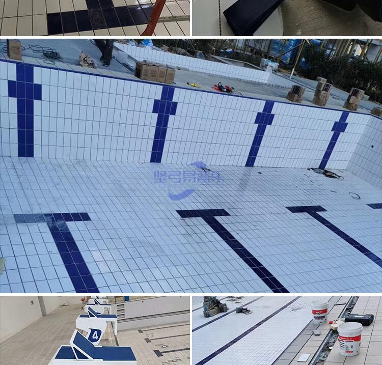 标准游泳池专用瓷砖115x240体育馆竟赛池室内学校泳池户外蓝白色天