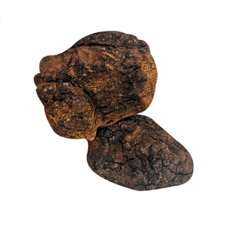 东北特产长白山野生白桦树茸白桦茸精粉茶汁华桦树茸白桦树泪【图片