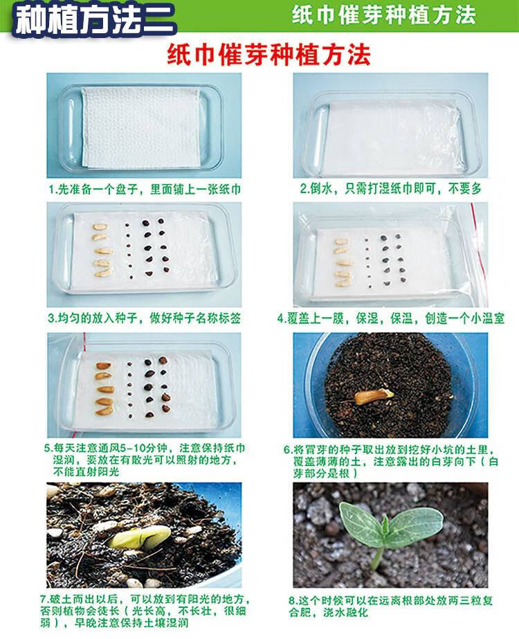凤仙花种子 半斤【图片 价格 品牌 报价】-京东