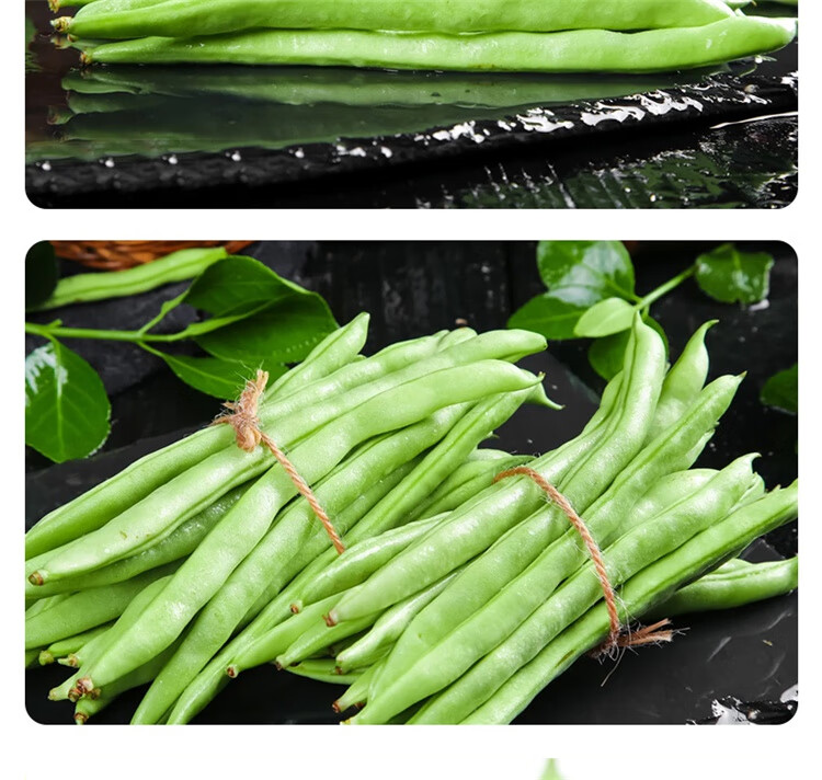 四季豆新鲜现摘云南长扁豆角农家应当季蔬菜芸豆现摘菜豆整箱500g
