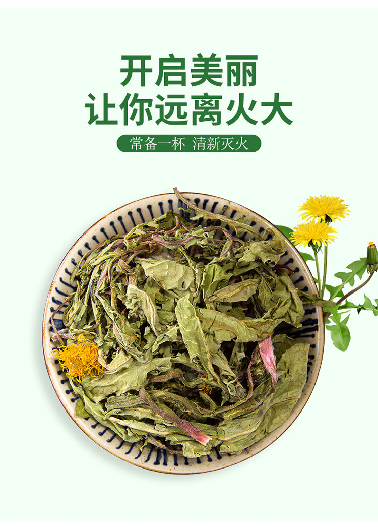 蒲公英蒲公英公英婆婆丁黄花地丁浦公英茶500g