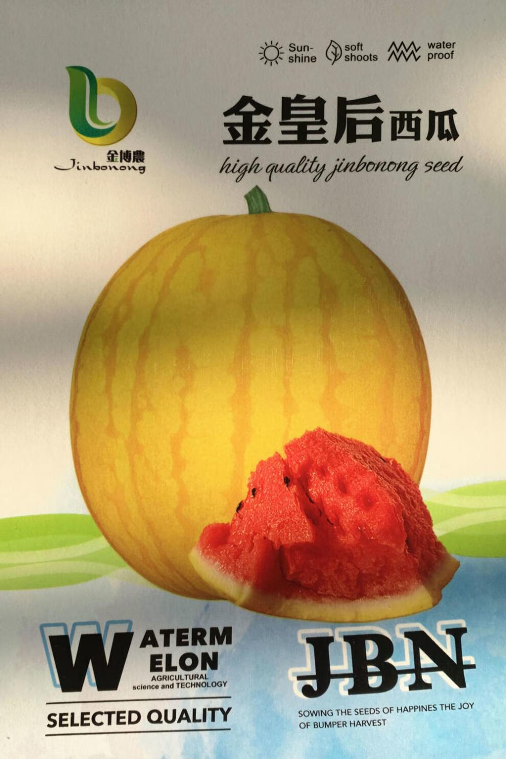 金皇后西瓜种子黄皮甜王早熟西瓜种籽南方水果春季四季蔬菜种籽孑 -量