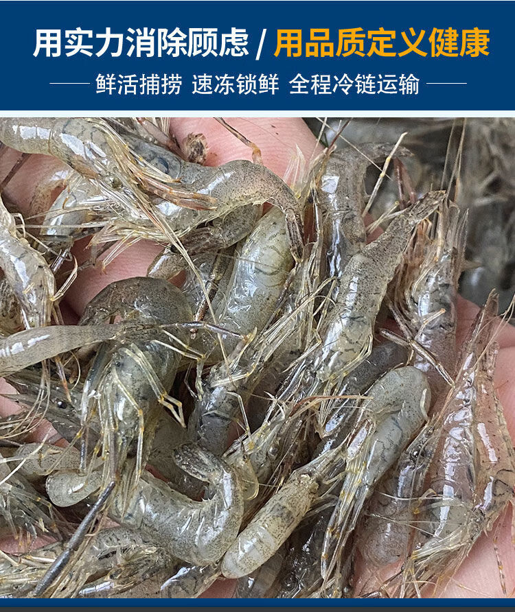 新鲜淡水小河虾鲜活速冻湖虾小白虾小明虾湖水虾小土虾冰冻冷冻虾昌盛