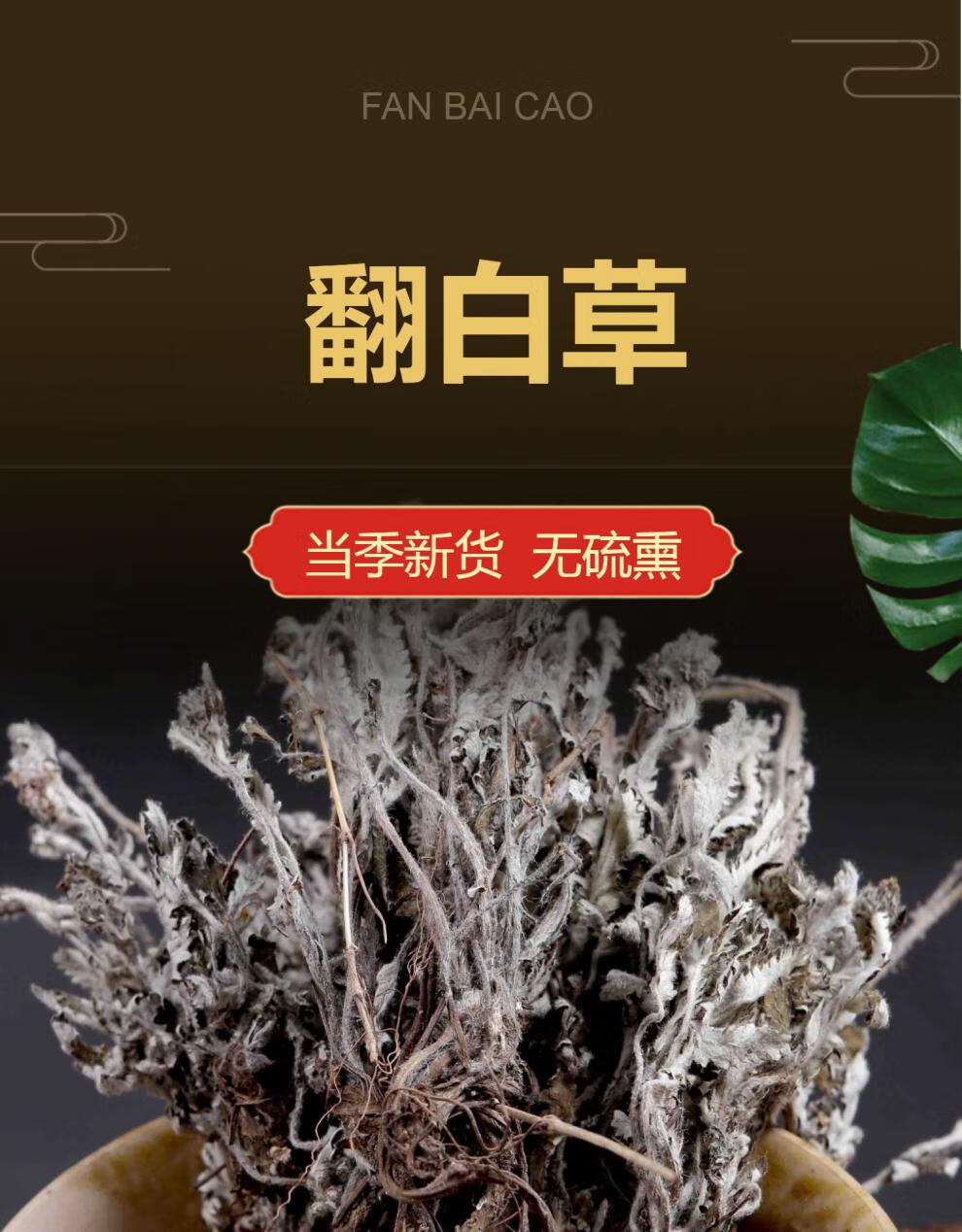 野生翻白草番百草整颗带根新鲜500g克【图片 价格 品牌 报价】-京东