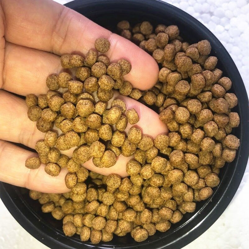 石金钱龟饲料石金钱龟饲料虾皮金钱黄缘火焰鳄龟草龟巴西宠物水龟通用