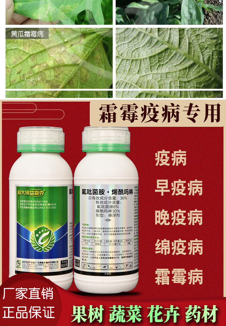 氟吡菌胺烯酰吗啉霜霉病晚疫病专用剂100g