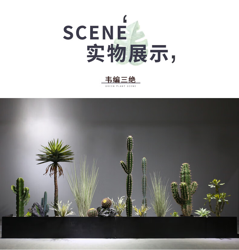 大型造景装饰仿仙人掌橱窗室内北欧大型植物仙人柱盆栽景观铁杵成针