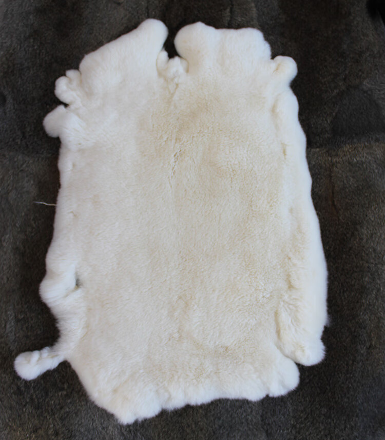 整张獭兔皮 獭兔皮整张獭兔毛皮料皮毛一体内胆毛领围脖膝兔毛布面料