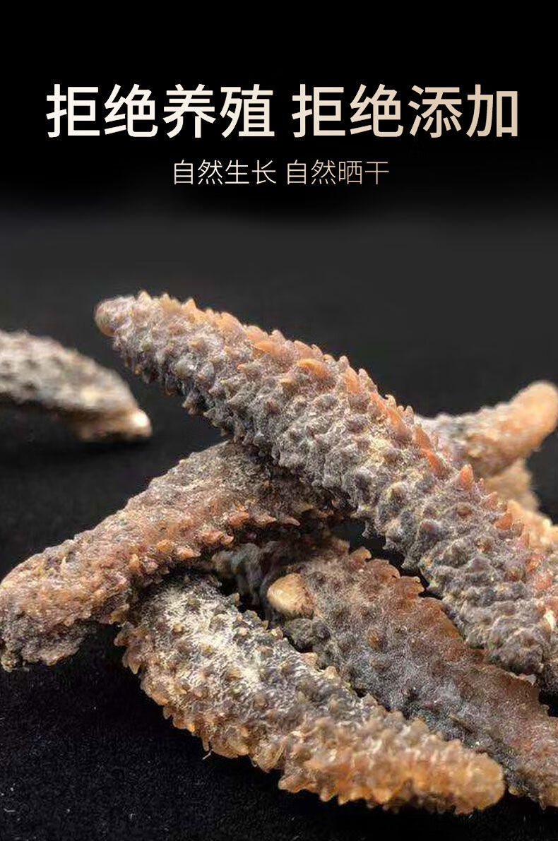 淡干黑刺海参参深海天然海渗海参淡干货礼盒装250g57cm纯淡干高泡发