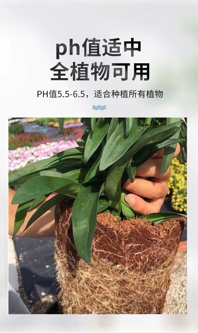 高营养椰砖土营养土椰砖营养土养花通用型高泡发种菜种花椰土椰壳进口