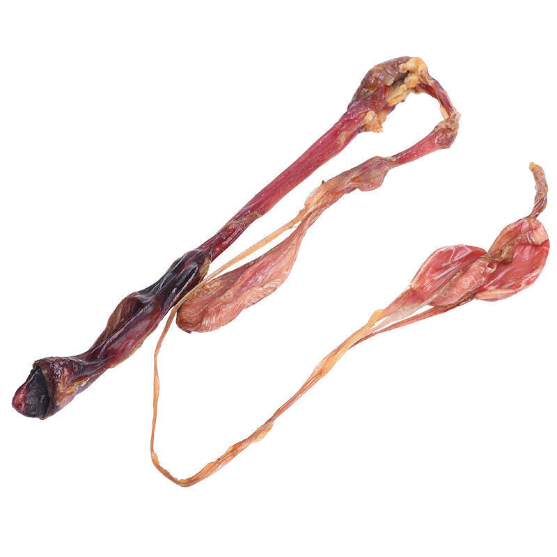 超大海狗鞭海狗肾传统滋补品养生泡酒煲汤药酒40多克一条清源汇生