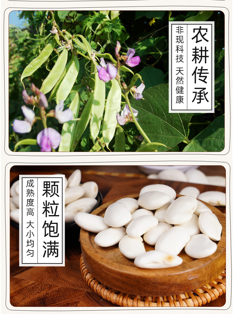 白芸豆500g新货大芸豆新鲜云豆大白豆雪豆大豆豆子五谷杂粮