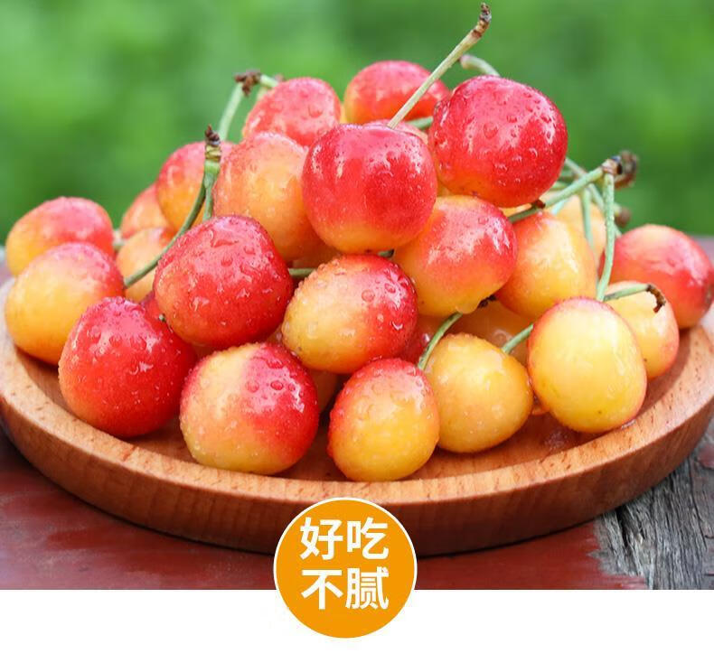 【顺丰空运】现摘黄水晶樱桃山东烟台黄蜜小樱桃当季孕妇甜樱桃新鲜
