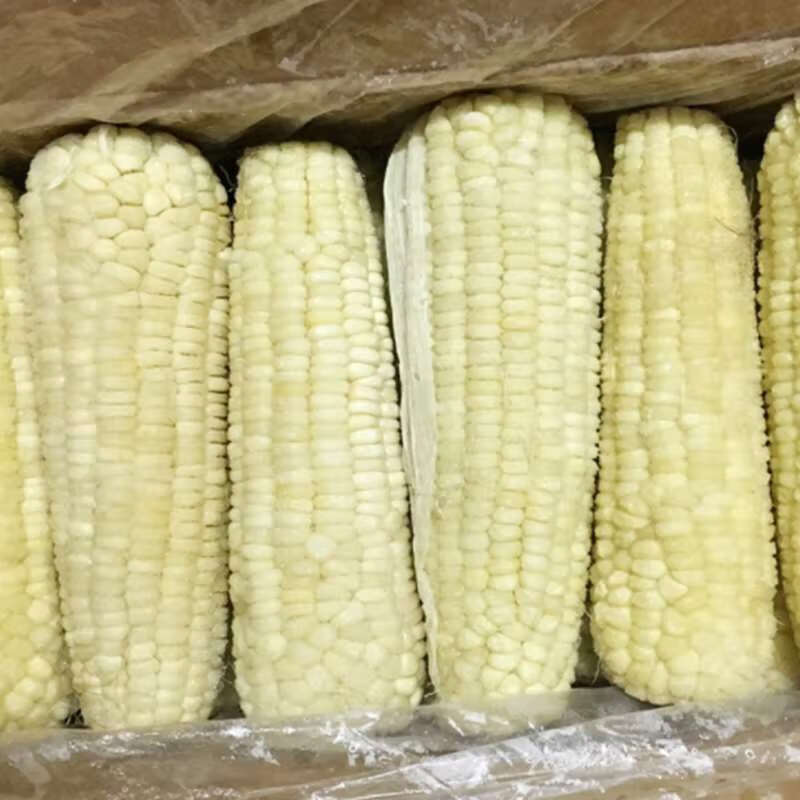 【不支持七天无理由退货】粘糯速冻玉米东北玉米糯玉米棒香甜可口香津