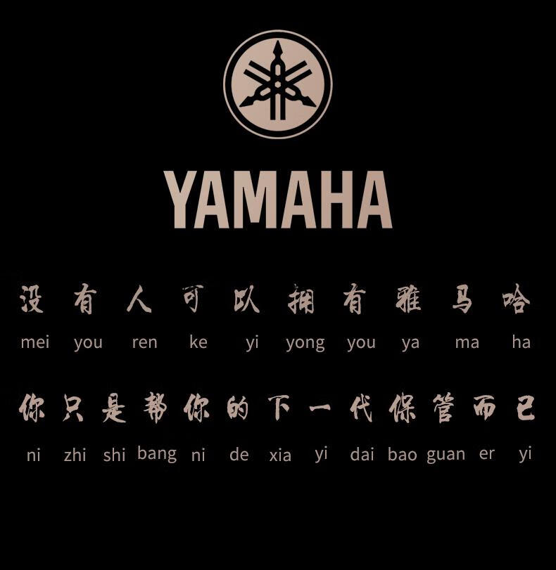 爱攀萨克斯中音降e调萨克斯管乐器875ex 82z62次中音高音儿童初学 yas