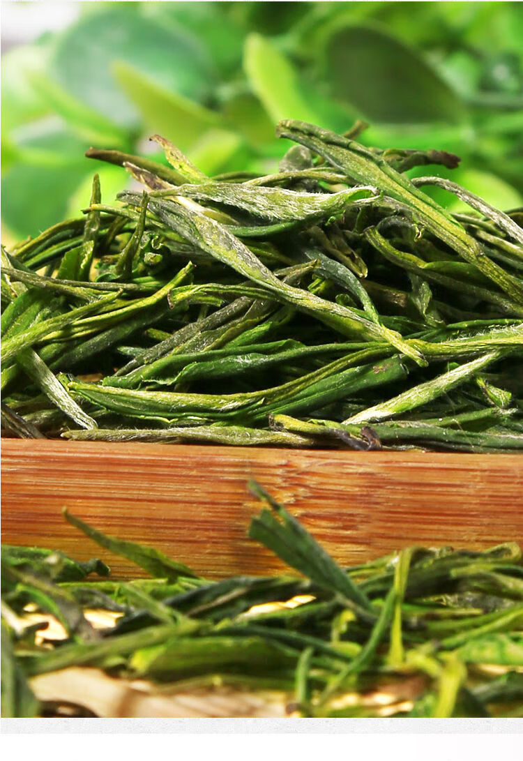 霍山黄芽2021新茶手工雨前浓香型高山黄茶安徽散袋装春茶500g 黄芽500