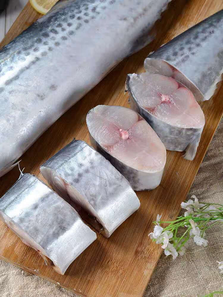 马鲛鱼新鲜海捕马鲛鱼鲜活鲅鱼燕尾鲅鱼大号鲅鱼整条 1斤-1斤半/条