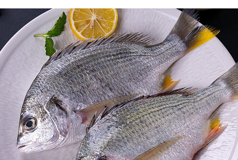 铭语然 深海黄翅鱼 新鲜黄刺鱼 鲷鱼海鲜水产海鱼鲜活冷冻 2斤(约3-5