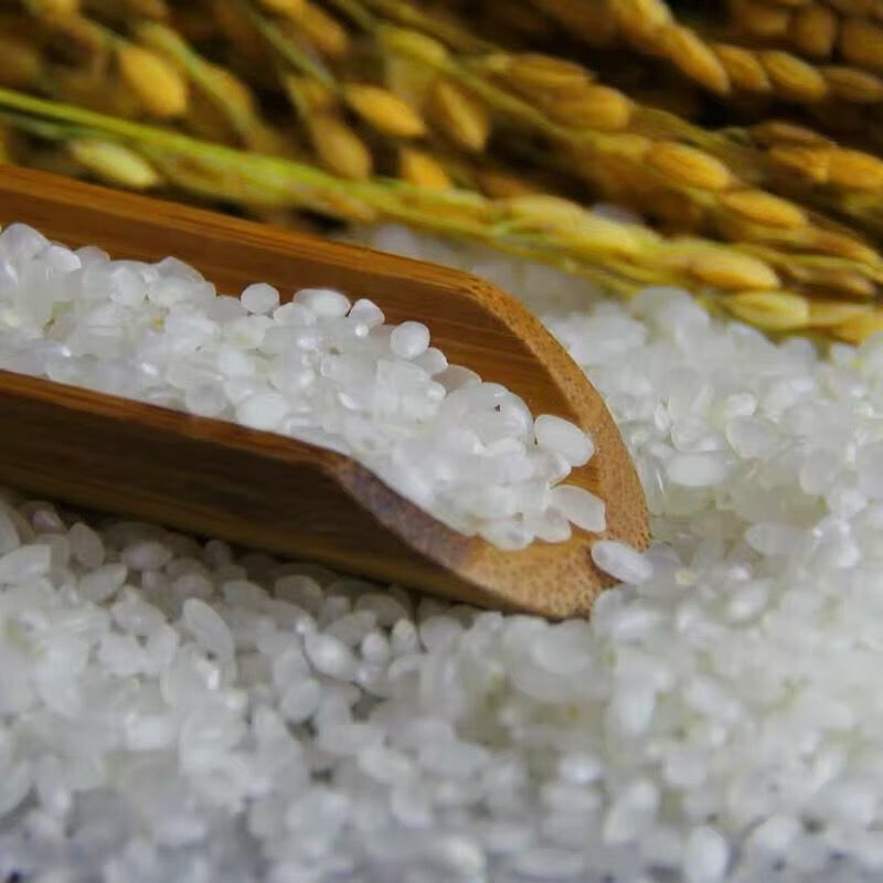 盘珠20年米10斤东北辽宁粳稻大米蟹田大米粳米碱地米东北蟹田米10斤备