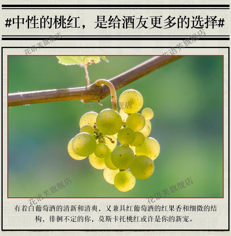 京选长城葡萄酒蓬莱东方莫斯卡托桃红起泡酒单支葡萄酒