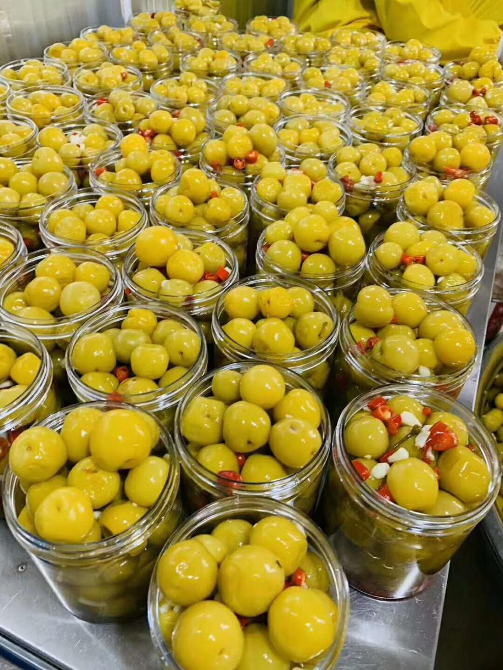 广西横州市酸李子腌制沾椒脆甜适用珍珠三华李 辣李子300克 辣刀豆300