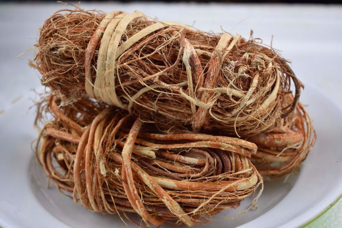 亏本卖啦正宗五指毛桃根磺五爪龙根五指伊梵麦1斤