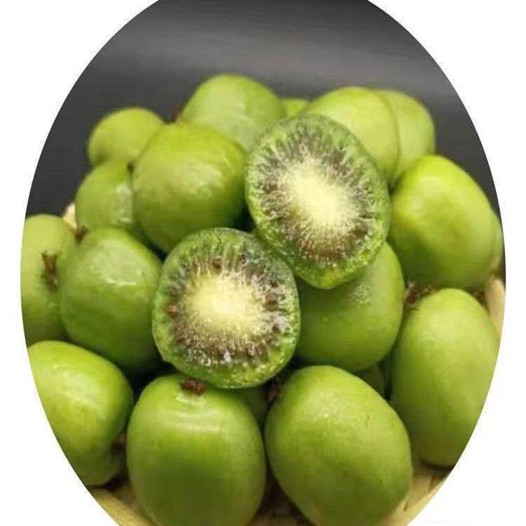 丹东软枣猕猴 东北软枣小猕猴桃奇异果莓迷你猕猴桃顺丰孕妇时令水果