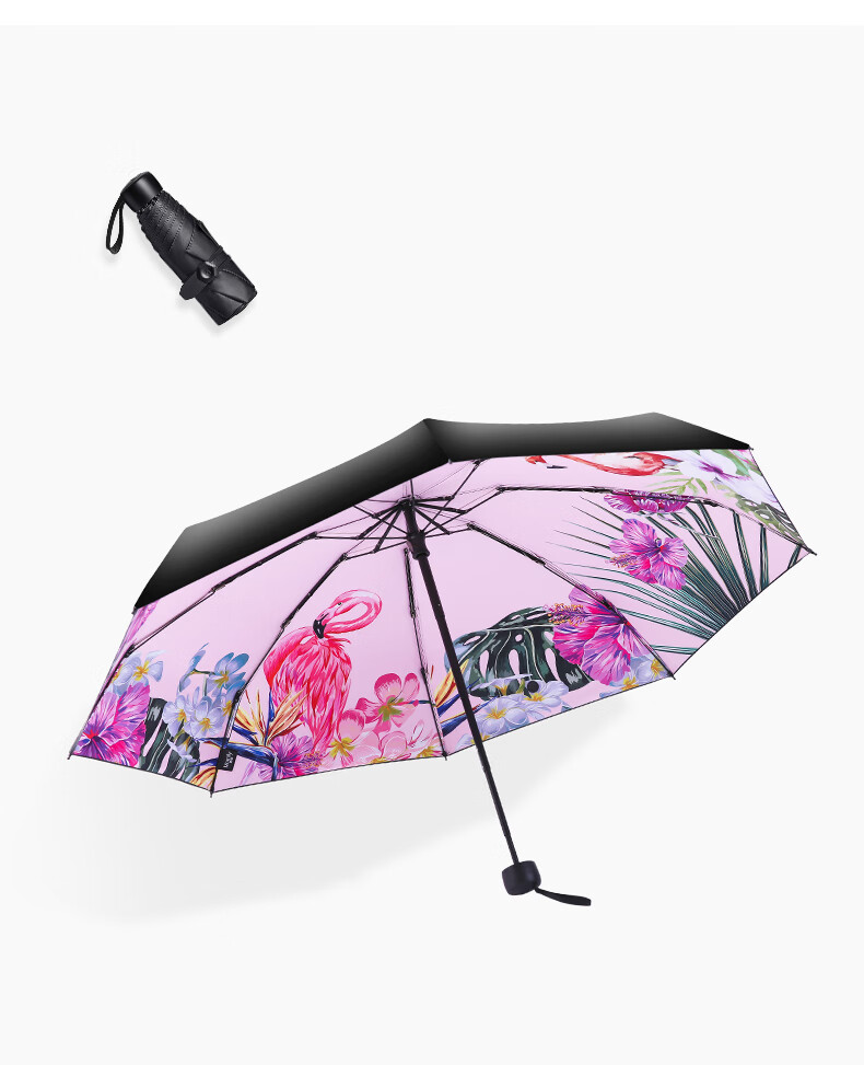 小伞折叠超轻太阳伞女小巧便携口袋迷你5五折晴雨伞轻便 黑色火烈鸟-8
