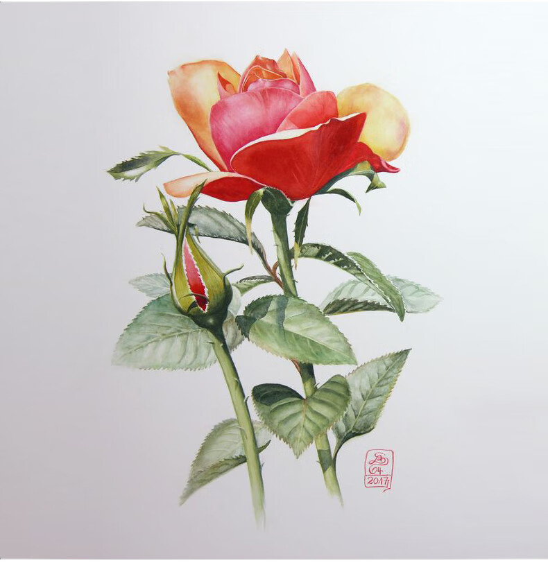 德国schincke史明克水彩颜料大师级管状单支20ml永山裕子水彩颜料二银