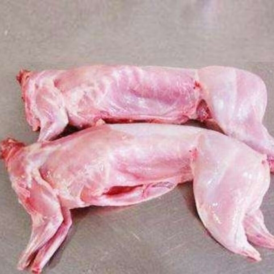 新鲜兔肉整只现杀兔子肉冷冻白条去头不去头的23斤左右福茹洲不带头肝