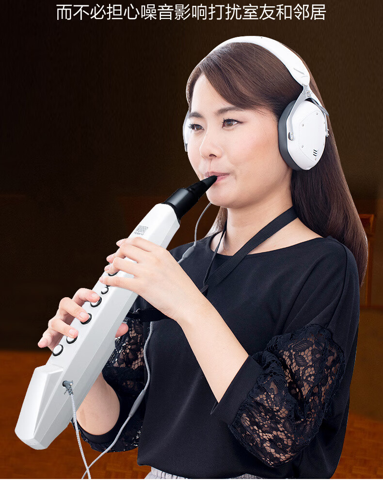 笛子小号入门电吹管电葫芦丝日本品牌ae01c老人乐器罗兰ae01版套餐一