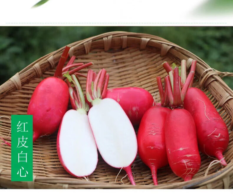 四川红皮白心萝卜 泡菜胭脂萝卜新鲜蔬菜 红萝卜9斤