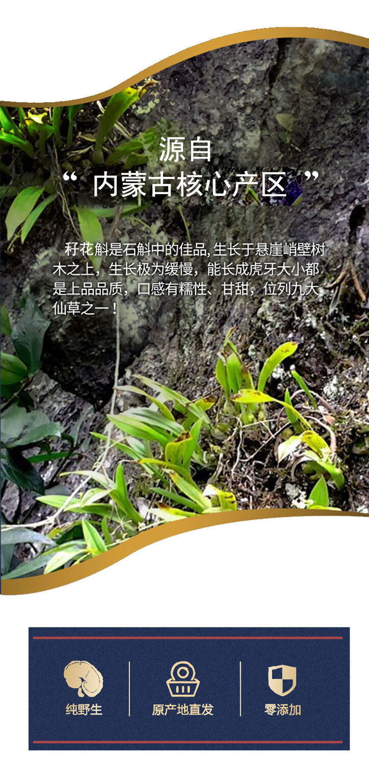 秄花斛防伪内蒙古野生大粒秄花槲子花斛籽花斛秄花槲御华伊梵麦粒粒