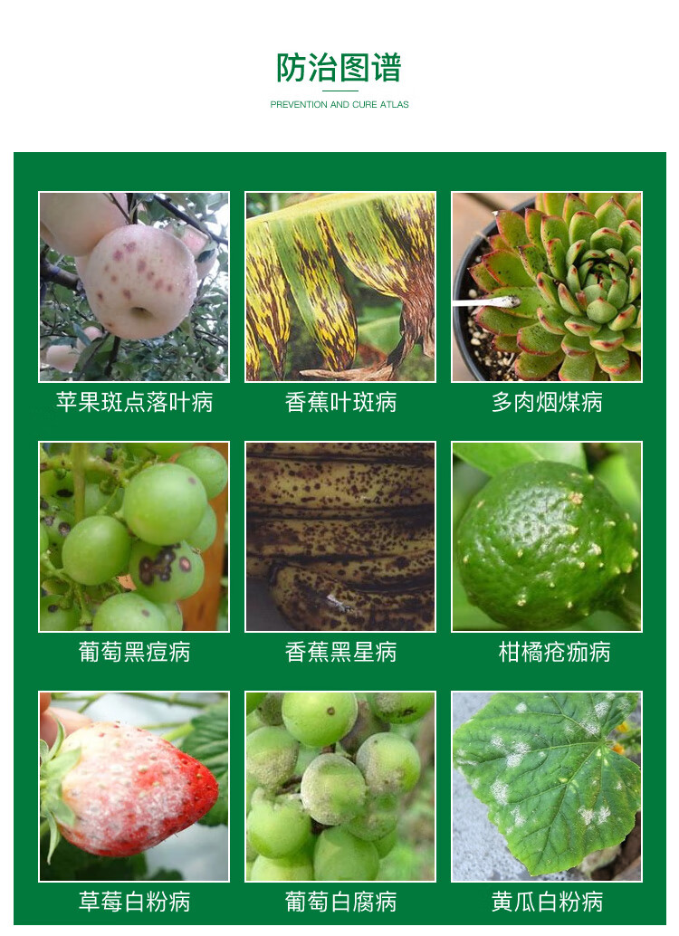 苯醚甲环唑杀菌剂果树蔬菜10白粉病叶斑病黑斑病炭疽锈病专用药10g10