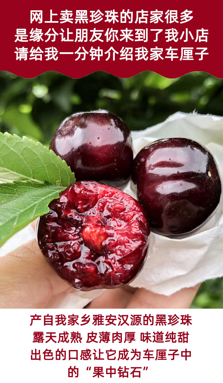 顺丰空运 四川汉源车厘子黑珍珠套袋大樱桃水果新鲜孕妇大果 3斤精选