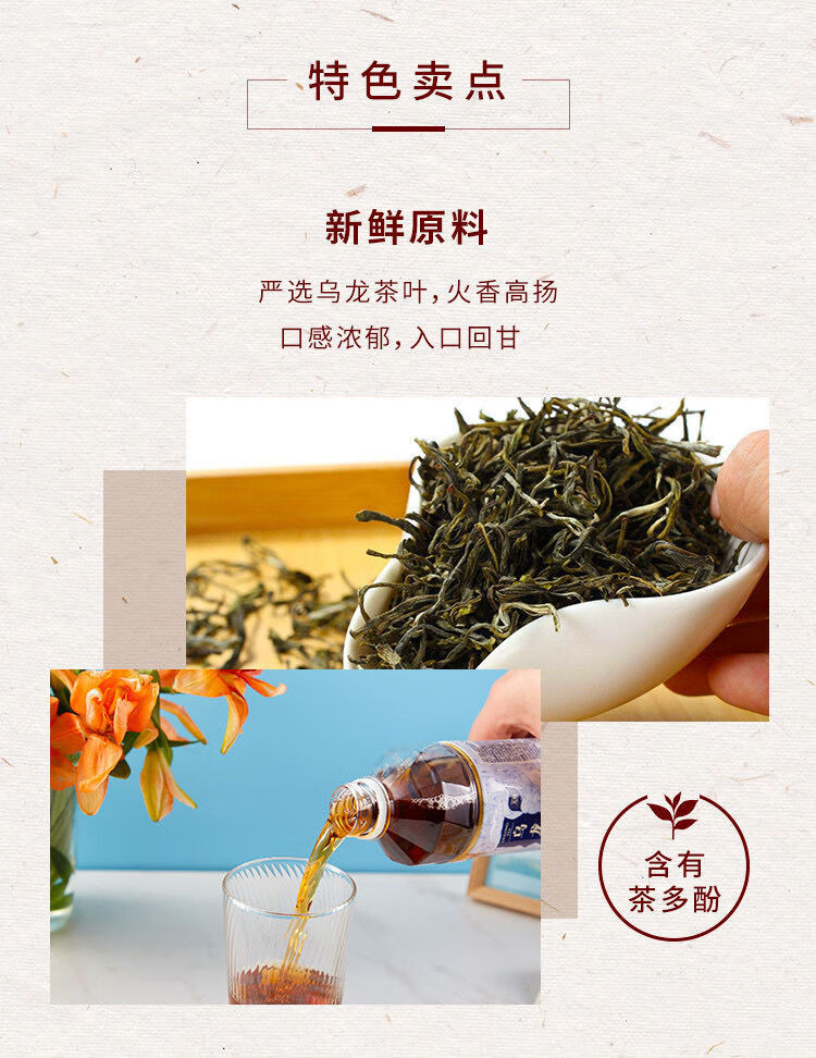 旭日乌龙茶无糖饮料510ml多规格茶饮料自然茶多酚4瓶装