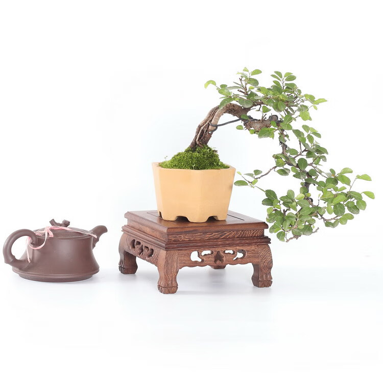 脚方形底座红木工艺品摆件盆景家居多款长方实木木托抱脚正方二号14cm