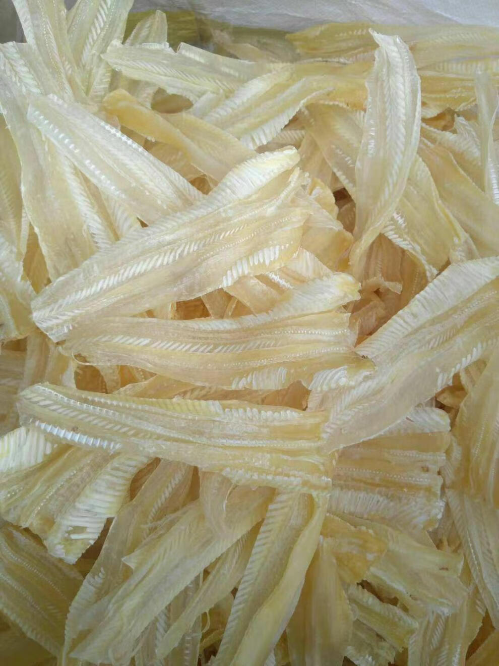 鱼唇广东湛江特产足干干货煲汤炖煮佛跳墙食材港式鱼唇50g25050克