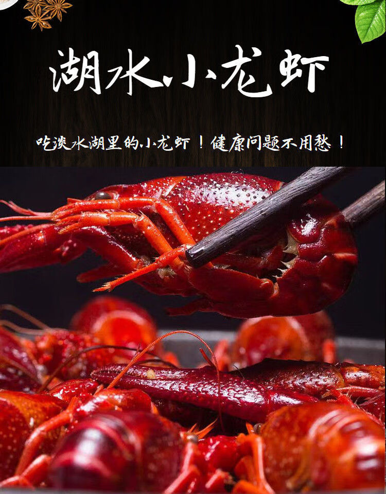 盱眙金湖小龙虾鲜活清水虾活虾稻田淡水红壳麻辣养殖满肉水产批发 567
