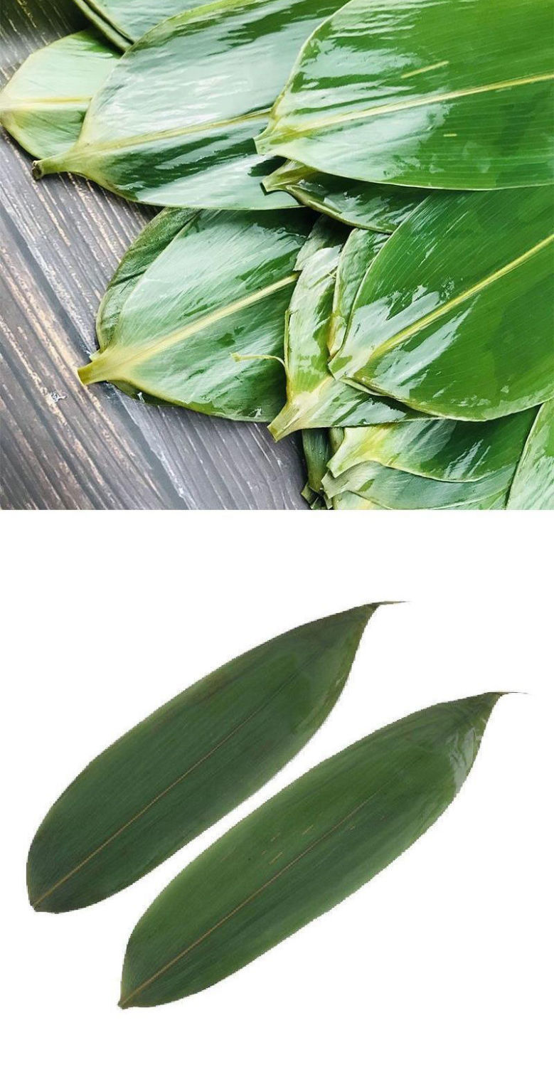 家用天然粽叶包粽子叶子麻竹叶粽子叶商用端午野生大号斤装华海春 三
