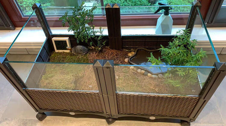 黄缘生态养殖环境黄缘龟专用缸安缘台缘饲养箱160厘米豪华养殖套餐