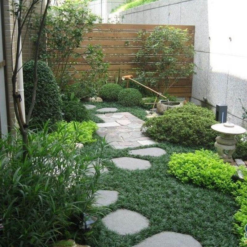 日本矮麦冬草玉龙草耐寒别墅庭院园林绿化四季常绿多年生地被植物细叶