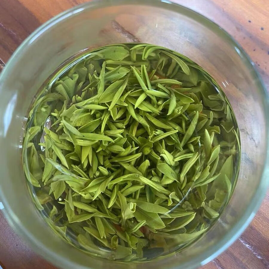 2022新茶扬州特产绿茶绿杨春明前特级a2绿杨春500g礼盒装茶农直销a2