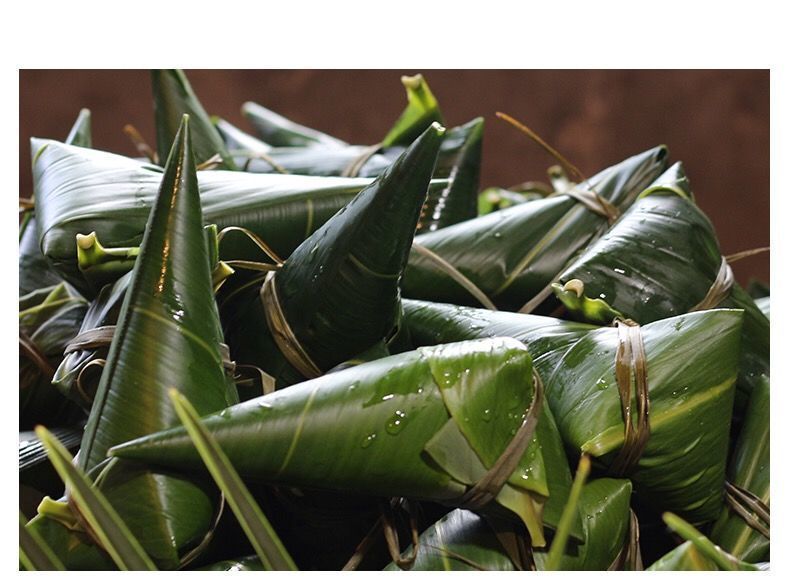 粽子叶 粽叶新鲜大粽叶棕叶现摘真空新叶端午包粽子叶子 【特大号】