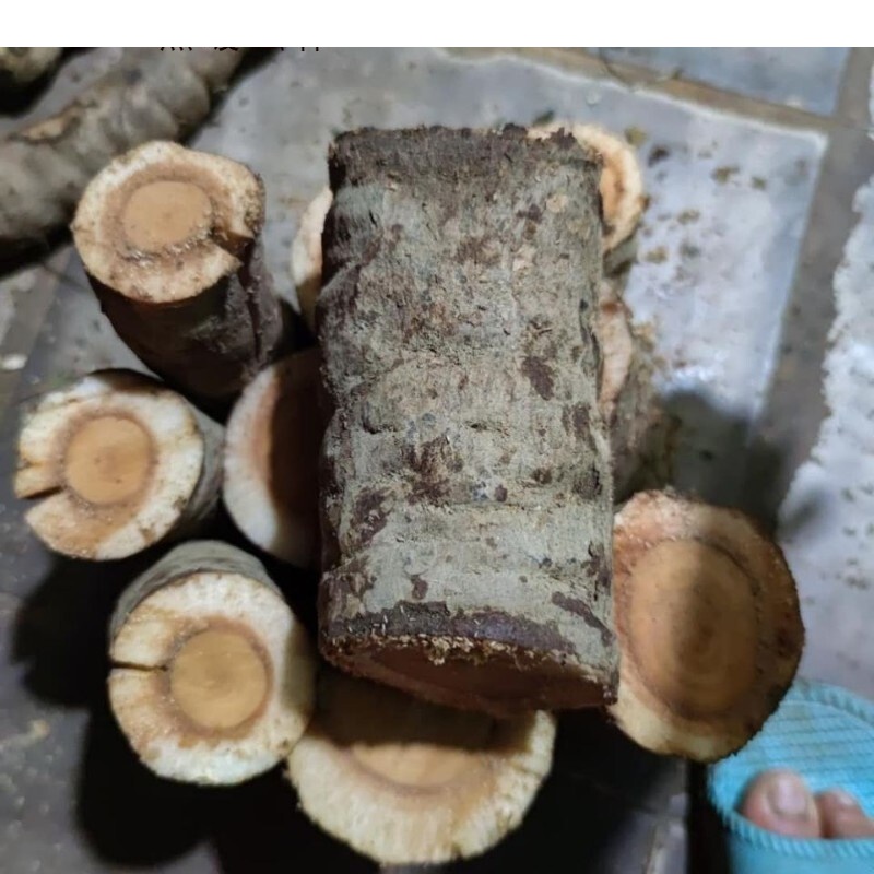 新鲜 猫尾薯 猫尾木树 猫尾树根 500克【图片 价格 品牌 报价】-京东