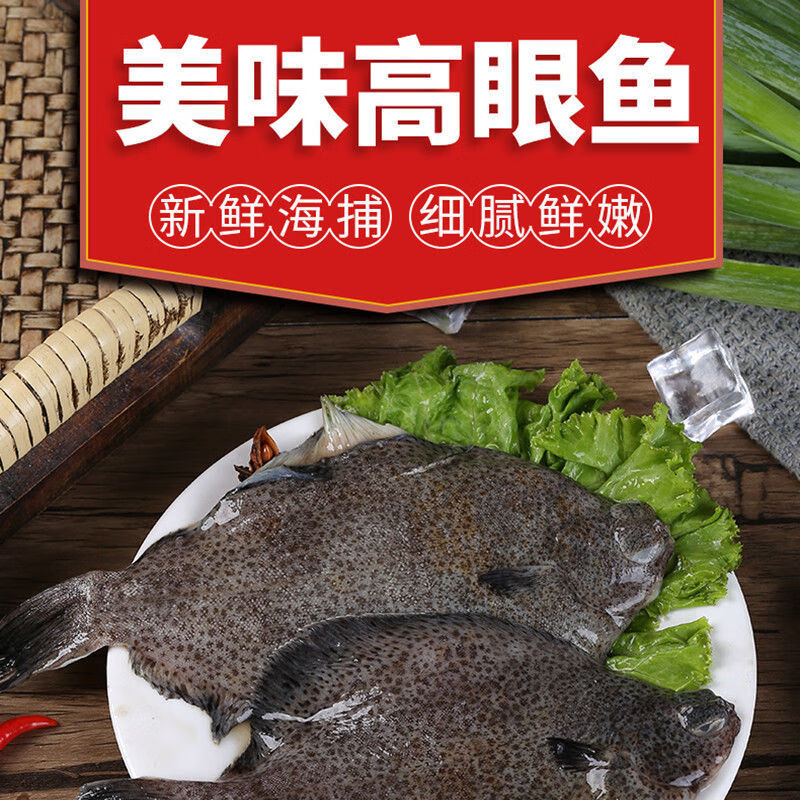 鼓眼鱼青岛偏口鱼鲜活高眼鱼豆鼓鱼生鲜牙片鱼偏口鱼生鲜批发 腾旺纳