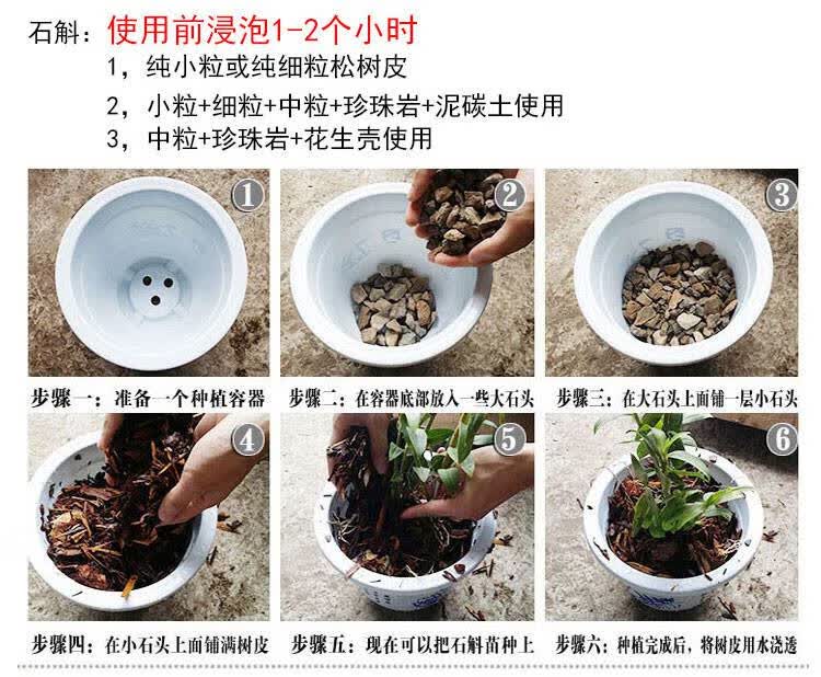 芊阙发酵松树皮松鳞铁皮石斛苗兰花多肉盆栽种植专用基质营养土肥料土