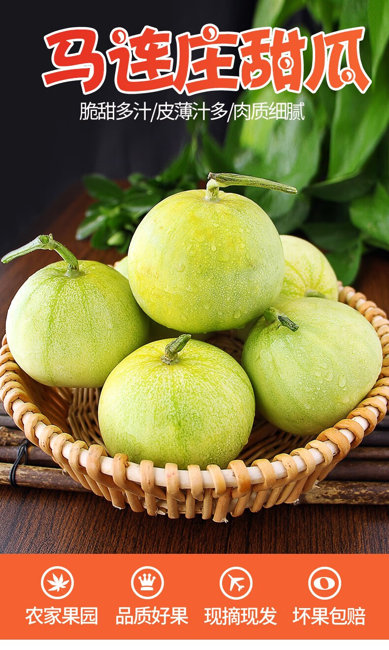 图芸层旗舰店商品编号:10053443402670商品名称:山东青岛莱西甜瓜5斤