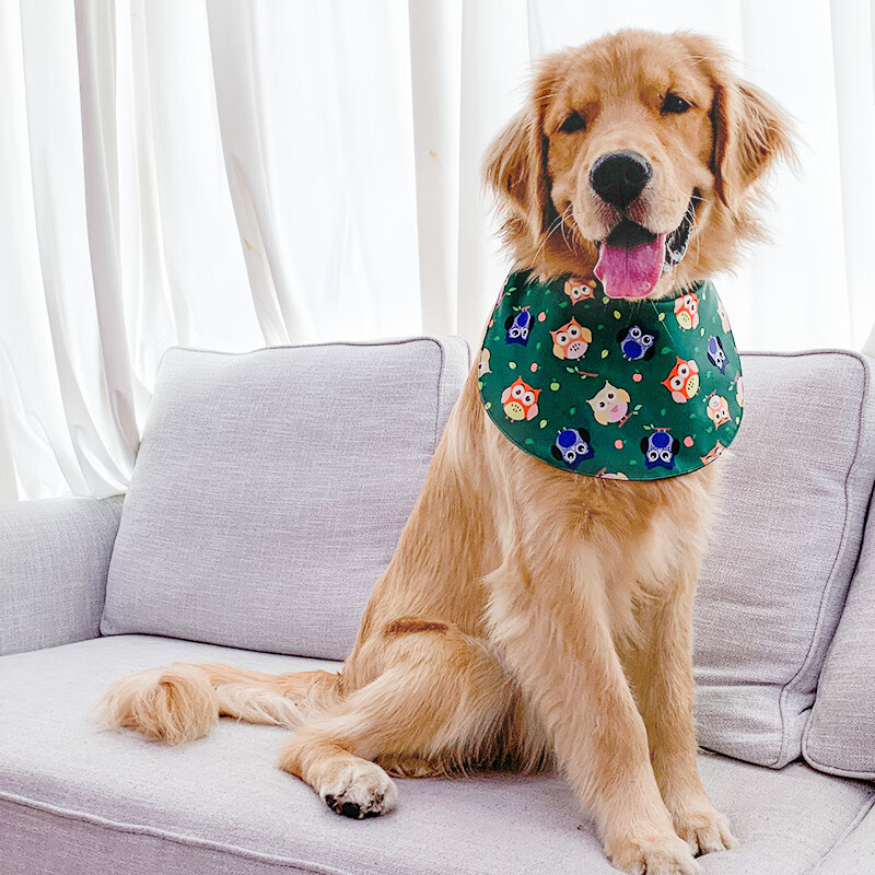 innopet 宠物大狗狗口水巾中大型犬金毛拉布拉多萨摩耶口水兜防水围脖